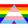 Regenbogen-Trans-Ally