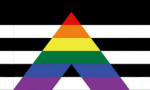 Straight Ally Flagge