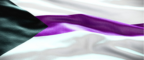 Demisexuell Flagge Banner