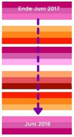 Entwicklung der Lesbenflagge 2017 bis 2018