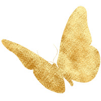 Goldfarbener Schmetterling