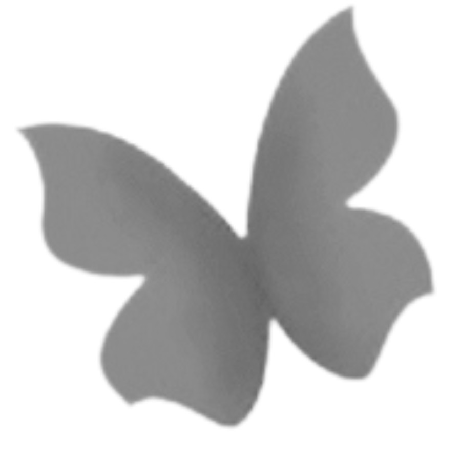 Schmetterling Dunkel-Grau