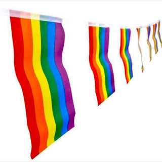 Regenbogenfahne Flagge Wimpelkette 5 Meter