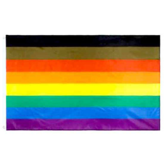Queer People of Colour /Philadelphia Flagge Regenbogen Fahne 90*150cm
