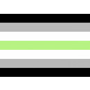 A-Gender Flagge /Agender Fahne 90*150cm