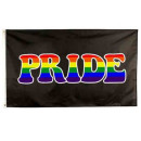 Pride-Fahne Born this Way 60*90cm
