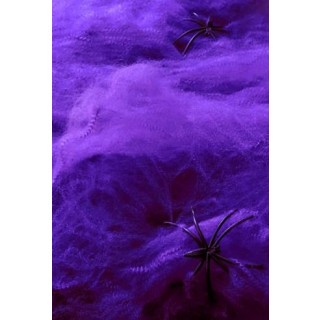 Spinnen-Netz + 2 Spinnen Halloween Lila / Violett