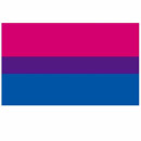 Bisexuell Fahne Flagge 90*150cm Stolz PRIDE/ CSD