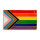 Quasar-Regenbogen-Flagge Pin / Rechteck