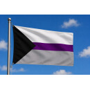 Demisexuell Pride Flag 90*150cm Flagge