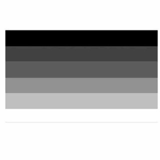 Heterosexualit&auml;t Flagge Schwarz-Wei&szlig; Grau 60*90cm