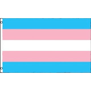 Transgender Flagge 60*90cm