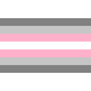 Demi-Girl Pride Flag 90*150cm Flagge Banner