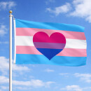 Transgender - Bi-Romantic Pride Flag 90*150cm Flagge Trans*