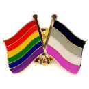 Doppel-Flaggen-Pin Regenbogen + Asex