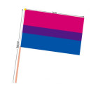 PRIDE-Hand-Flaggen 21x14cm mit o. ohne Stab Holz o. Kunststoff