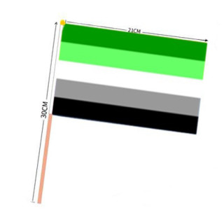 PRIDE-Hand-Flaggen ARO 21x14cm mit Holzstab 30cm