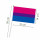 PRIDE-Hand-Flaggen Bi-Sexuell 21x14cm  mit Kunststoffst&auml;bchen 30cm