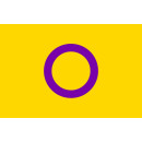 PRIDE-Hand-Flaggen Intersexuell ohne Stiel  21x14cm