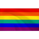 PRIDE-Hand-Flaggen Regenbogen 21x14cm mit Holzstab 30cm