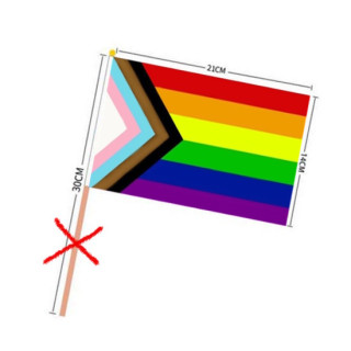 PRIDE-Hand-Flaggen Regenbogen-Trans. ohne Stiel  21x14cm