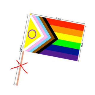 PRIDE-Hand-Flaggen Regenbogen-Trans.-Inter. ohne Stiel  21x14cm