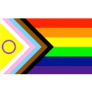 PRIDE-Hand-Flaggen Regenbogen-Trans.-Inter. 21x14cm mit Holzstab 30cm