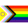 PRIDE-Hand-Flaggen Regenbogen-Trans.-Inter. 21x14cm mit Holzstab 30cm