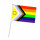 PRIDE-Hand-Flaggen Regenbogen-Trans.-Inter. 21x14cm  mit Kunststoffst&auml;bchen 30cm