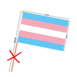 PRIDE-Hand-Flaggen Trans* ohne Stiel  21x14cm
