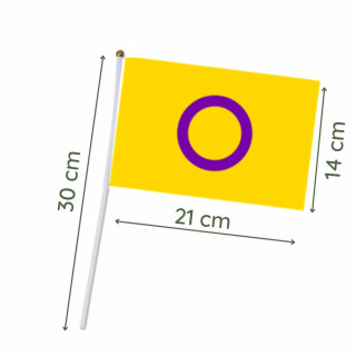 Intersexuell Hand-Flagge 20*14cm LBGT Pride Handflagge