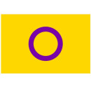 Intersexuell Hand-Flagge 20*14cm LBGT Pride Handflagge