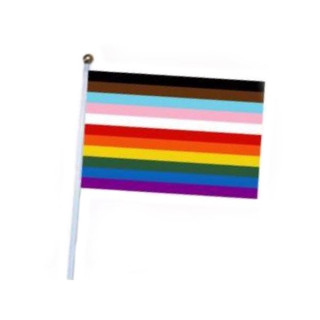 Regenbogen 11 Farben Hand-Flagge 20*14cm