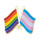 Doppel-Flaggen-Pin Regenbogen + Trans*