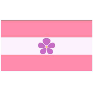 Sapphic Pride Flag 60x90cm Flagge Frauenliebe