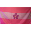 Sapphic Pride Flag 60x90cm Flagge Frauenliebe