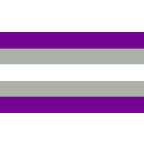 Greysexual Pride Flag 60*90cm Flagge 60x90