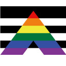 Flaggen 90 x150cm Straight-Ally Straight Allies