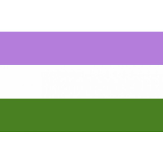 Genderqueer Flagge 90*150cm Stolz PRIDE/ CSD