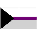Demisexuell Pride Flag 60*90cm Flagge