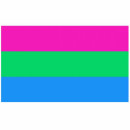 Polysexualität Pride Flagge 60*90cm Polysexuell/ CSD