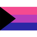 Demi - Bisexuell Pride Flag 60*90cm Flagge Demibi