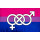 Bisexuell Pride Flag 60*90cm mit Symbolen