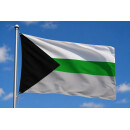 Demiromantic Pride Flag 60*90cm Flagge