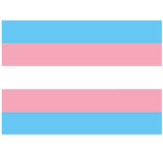 XXL Trans* Flagge Sondergröße 150*245cm Transgender
