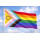 New Rainbow Disability Inklusion Progress A