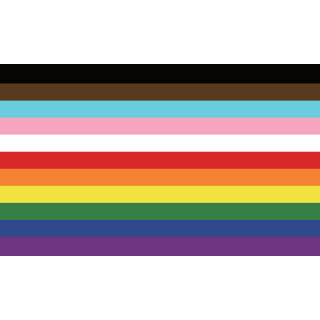 Flaggen 90 x150cm 11 Regenbogenstreifen