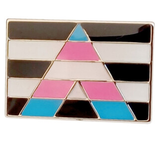 Straight Allies-Trans-Flagge Pin Rechteck Pride 20x14mm