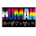 HUMAN Pride Flagge – LGBTQIA+ Flag mit Symbolen & Farben der Vielfalt (90×150 cm)