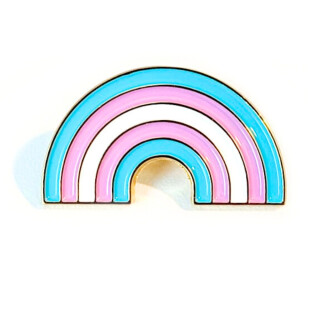 Regenbogen-Pins in Trans* Farben LGBT 30x 15mm